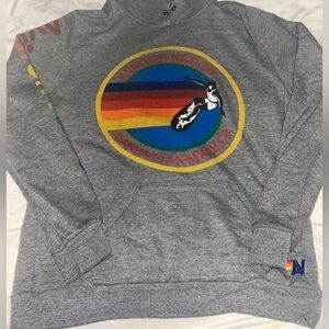 Aviator Nation Gray Logo Hoodie